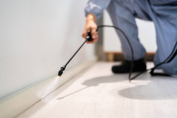 Licensed Pest Control service in Westport, WA - Show Me Pest Control