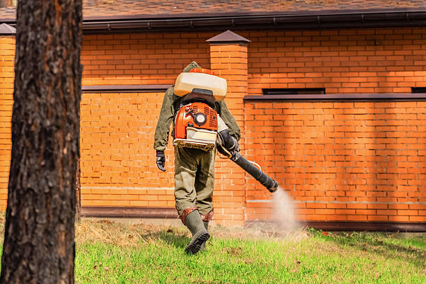 Top rated local Ant Control specialists in Westport, WA